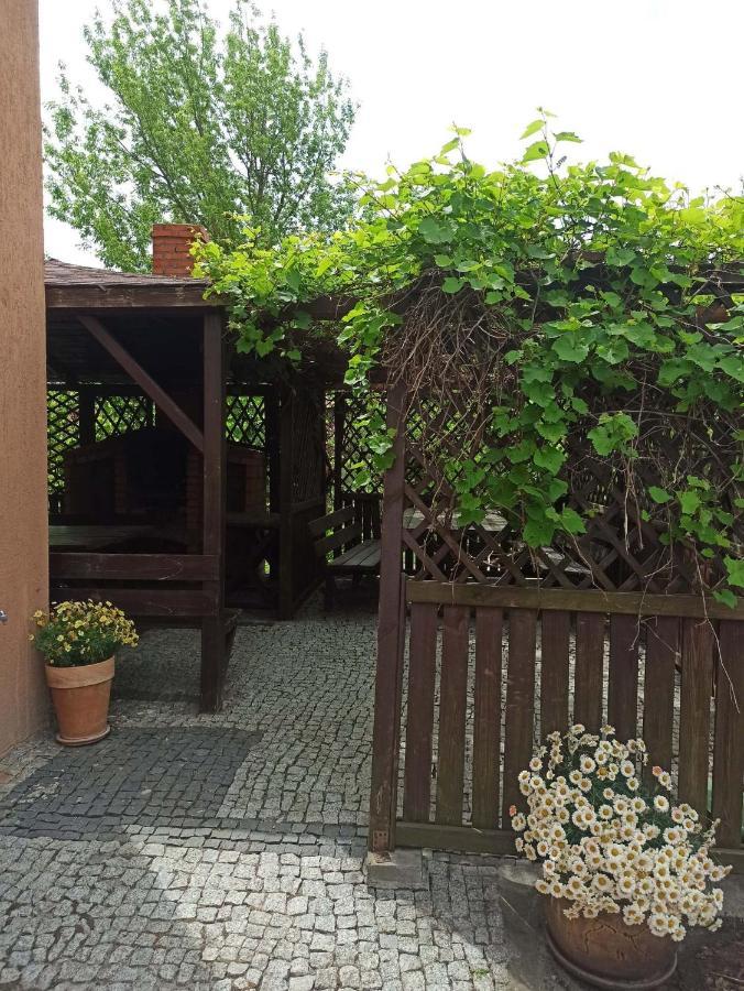 Noclegi Na Portowej Sandomierz Kültér fotó